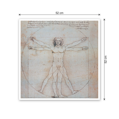 Homage to Leonardo - Vitruvian Man cm 50x50 - misure