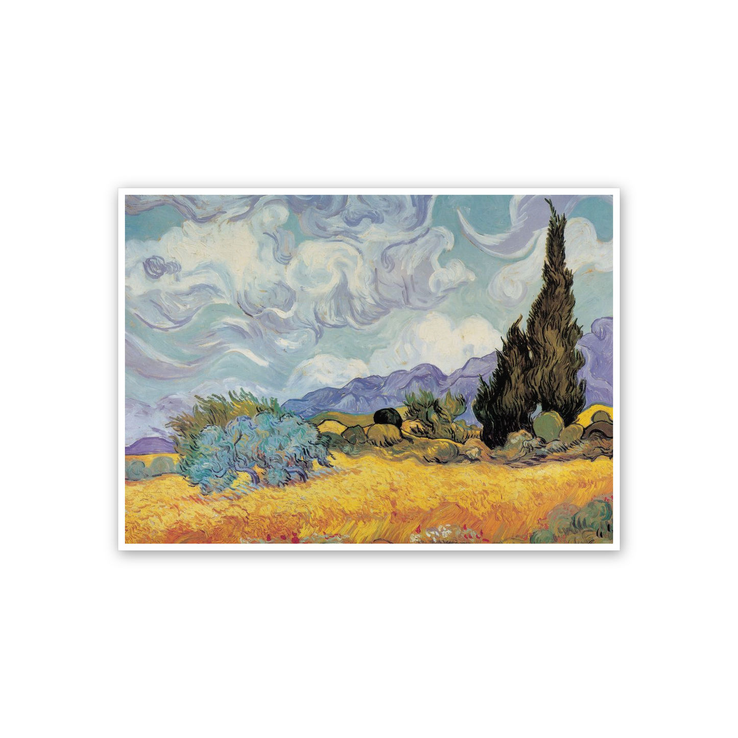 Homage to Van Gogh - Cypress Trees cm 70x50