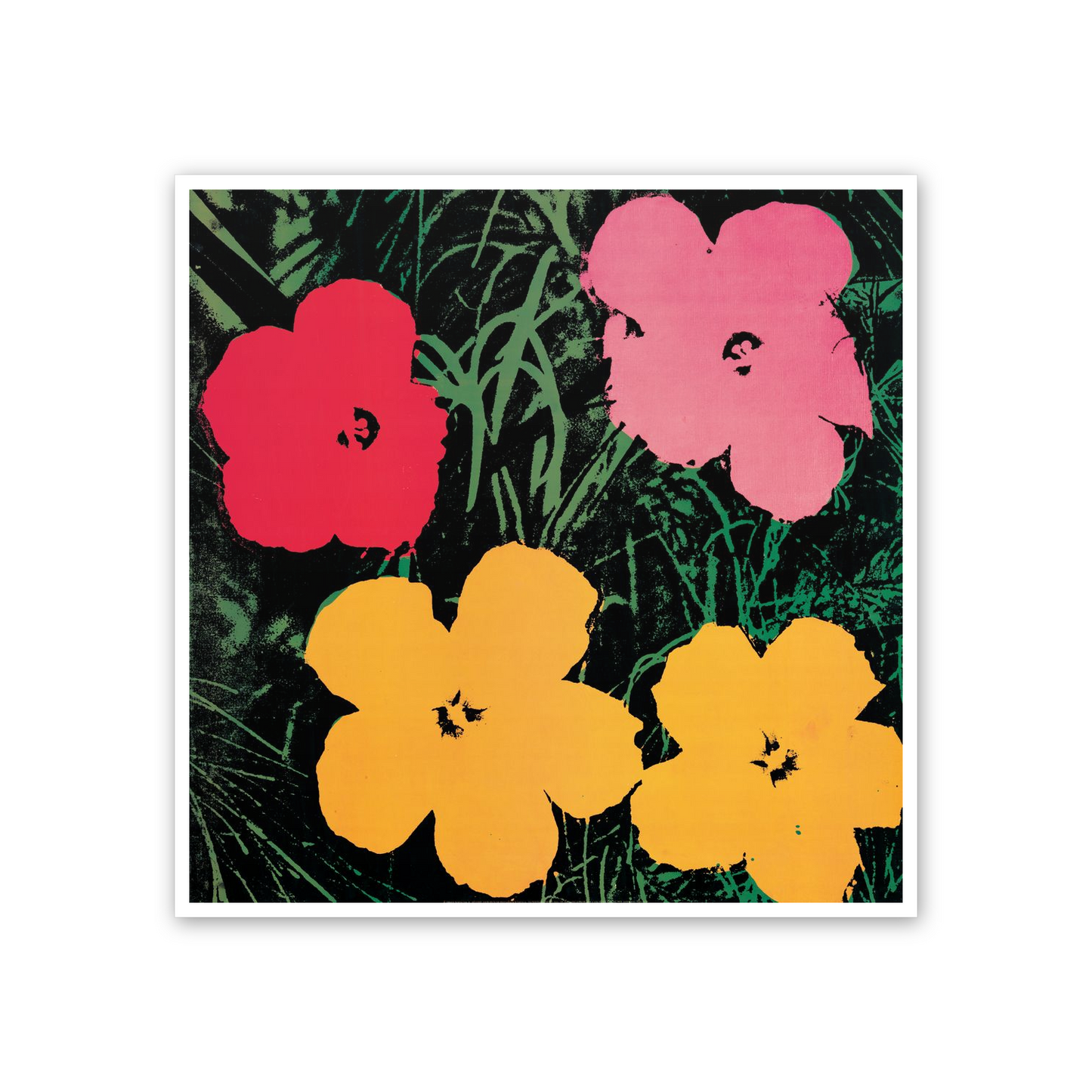 Homage to Warhol - Flowers, 1964 cm 50x50