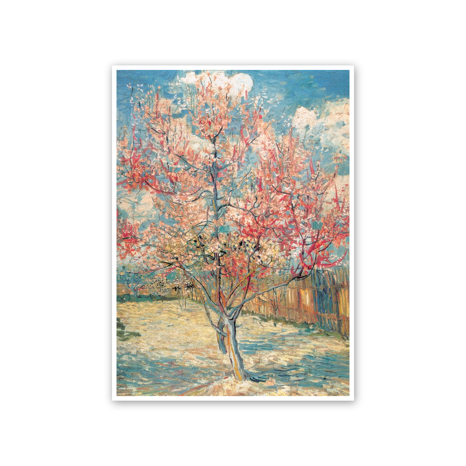 Homage to Van Gogh - Souvenir De Mauve cm 50x70