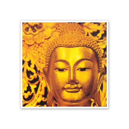 Buddha cm 50x50