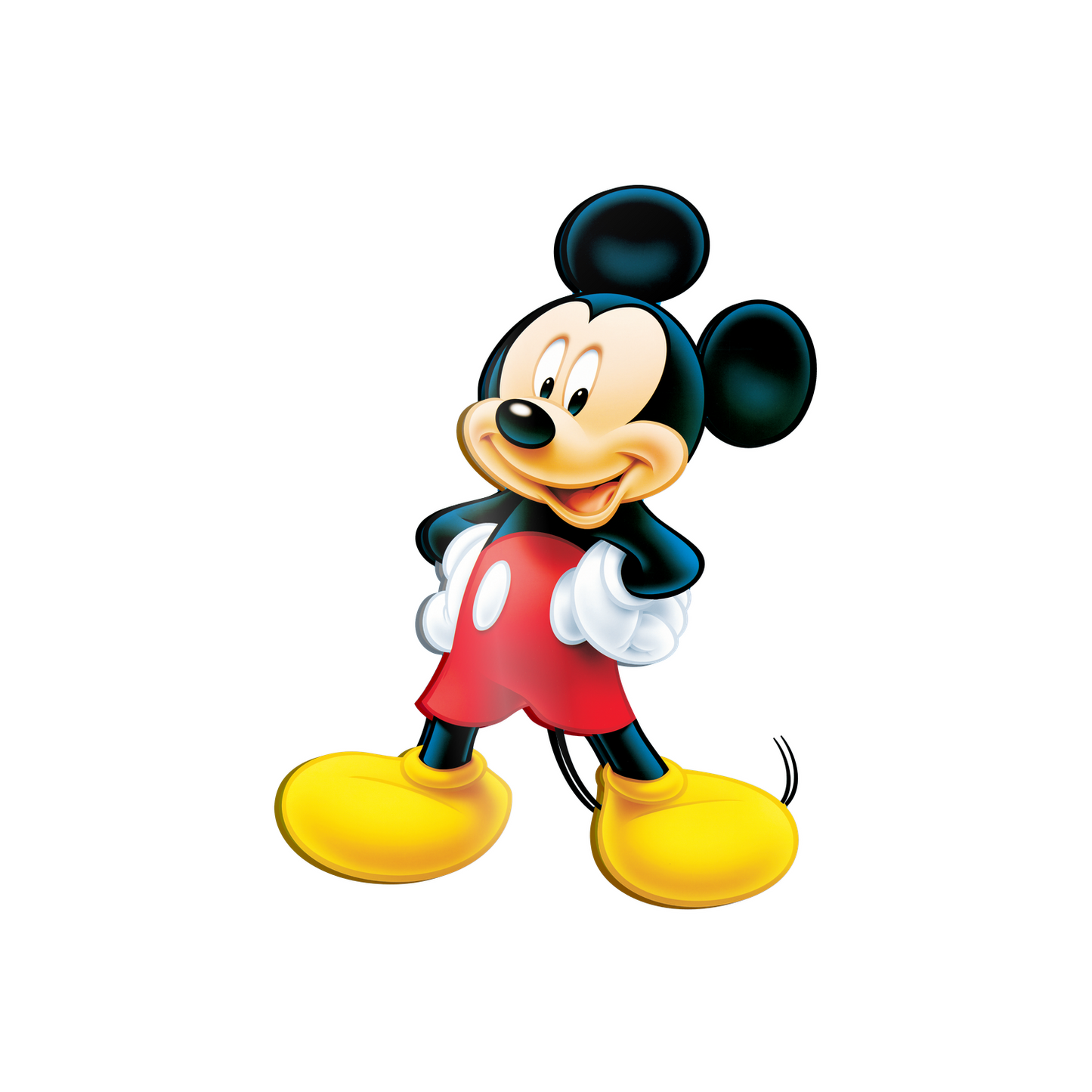 Topolino cm 50x70