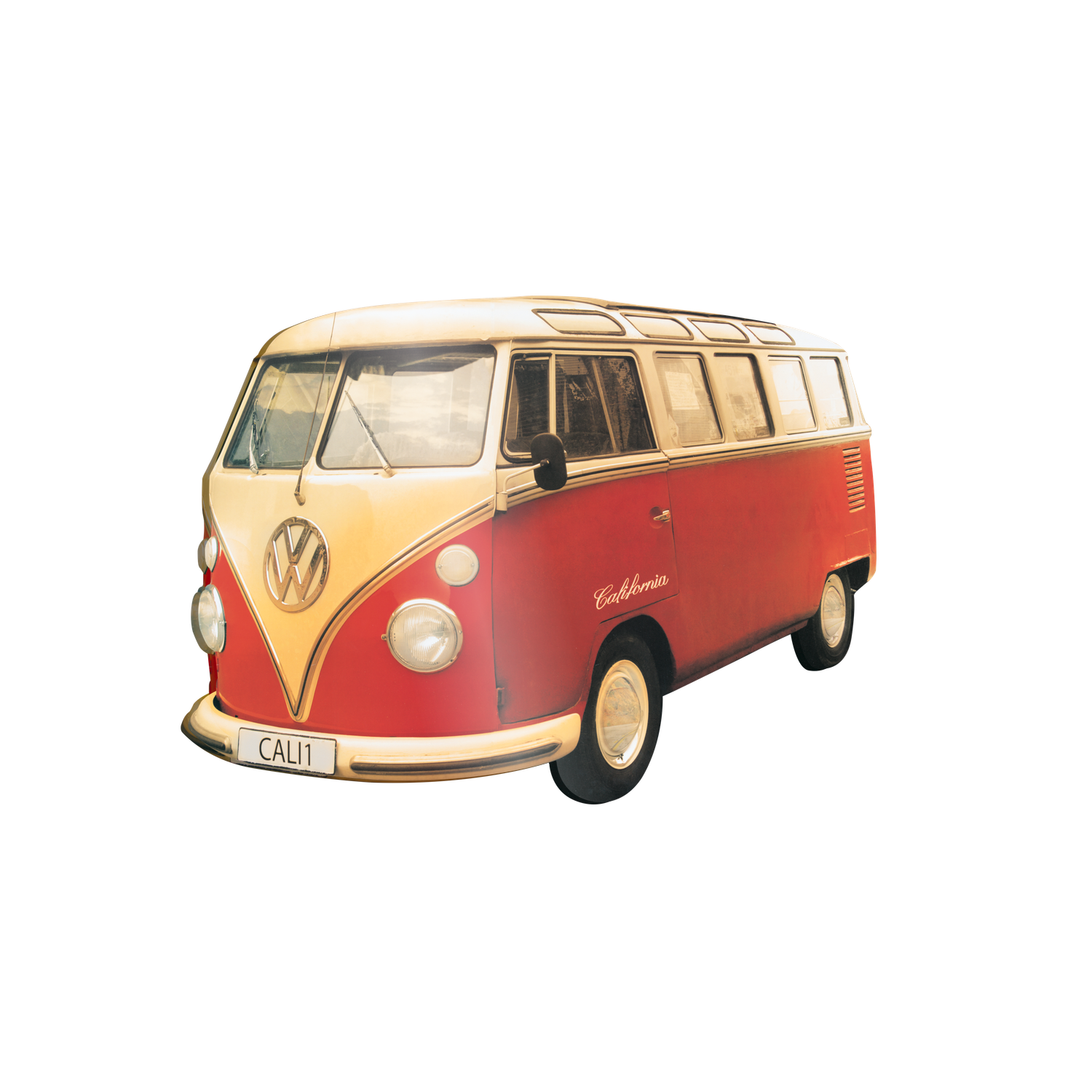 Californian Bulli cm 70x50