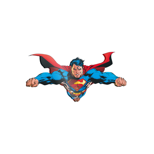 Superman cm 100x50