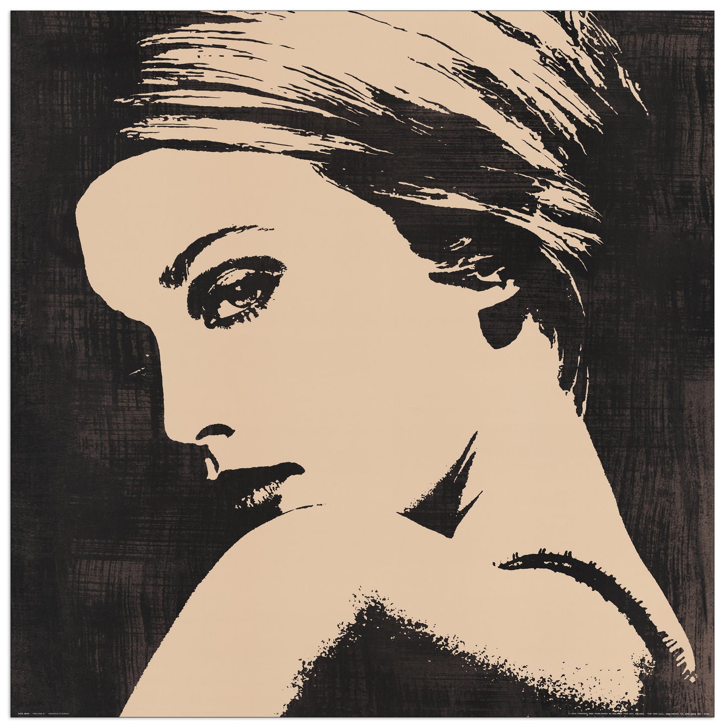 Deluxe II cm 50x50