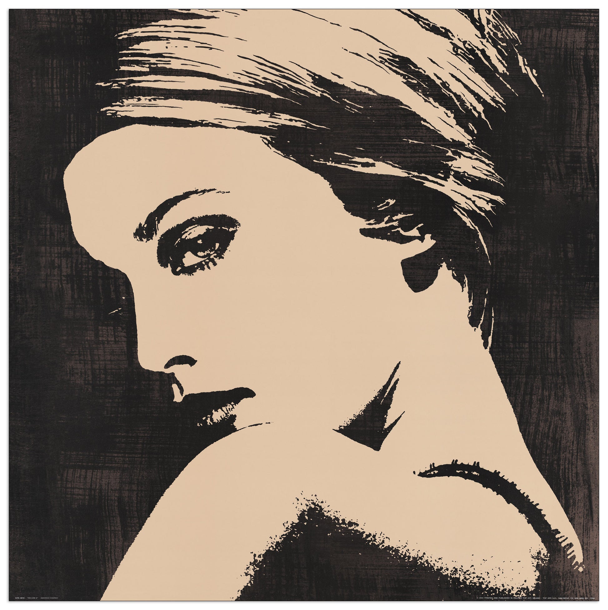 Deluxe II cm 50x50