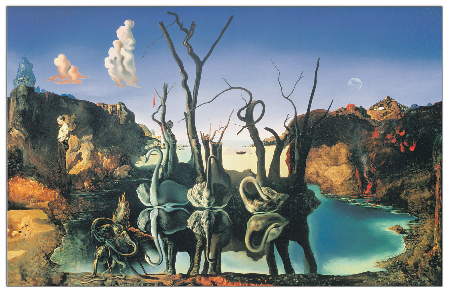 Il riflesso dei cigni genera l'immagine degli elefanti, 1937 cm 73x53