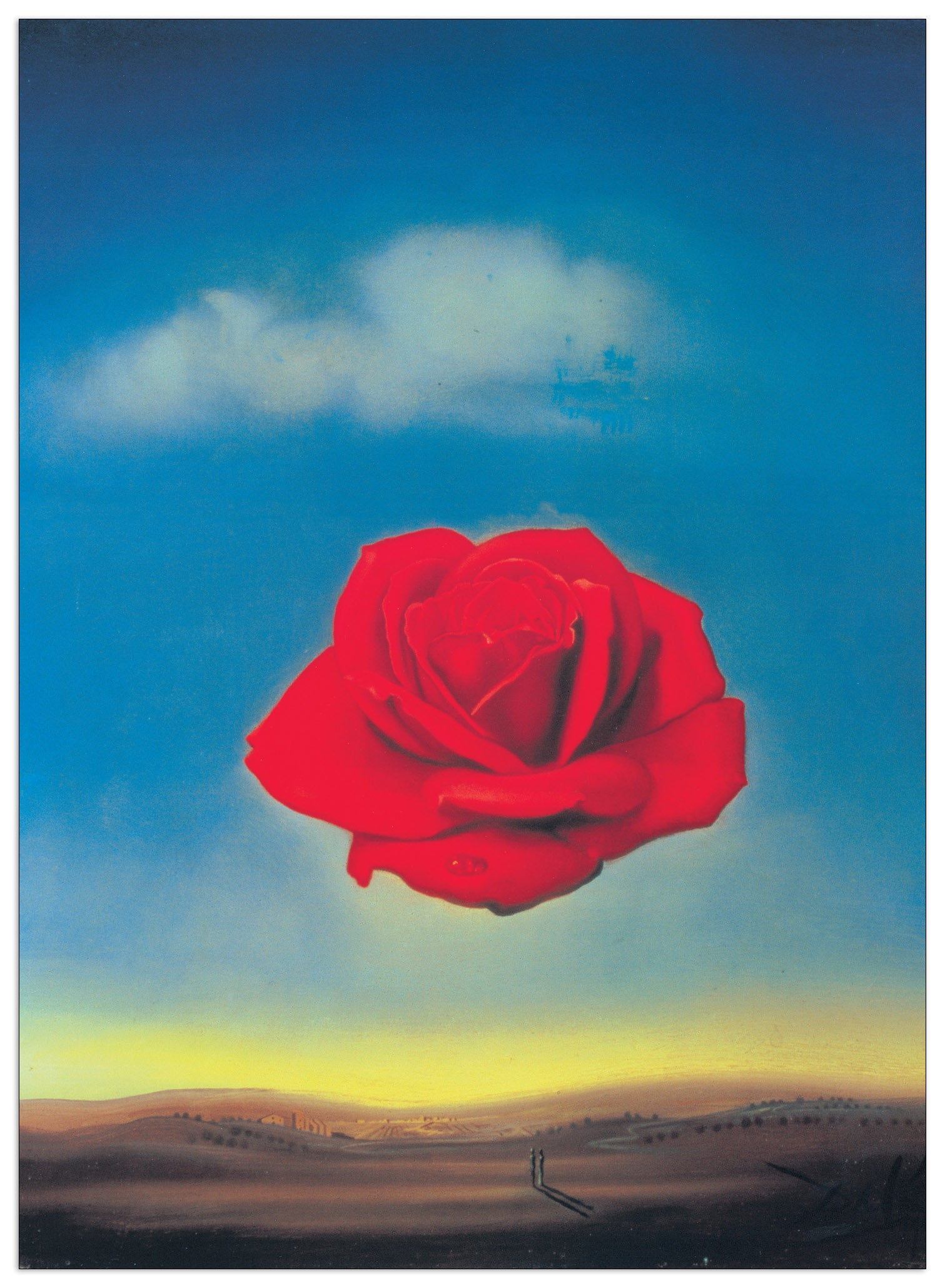 Rosa pensierosa, 1958 cm 50x70