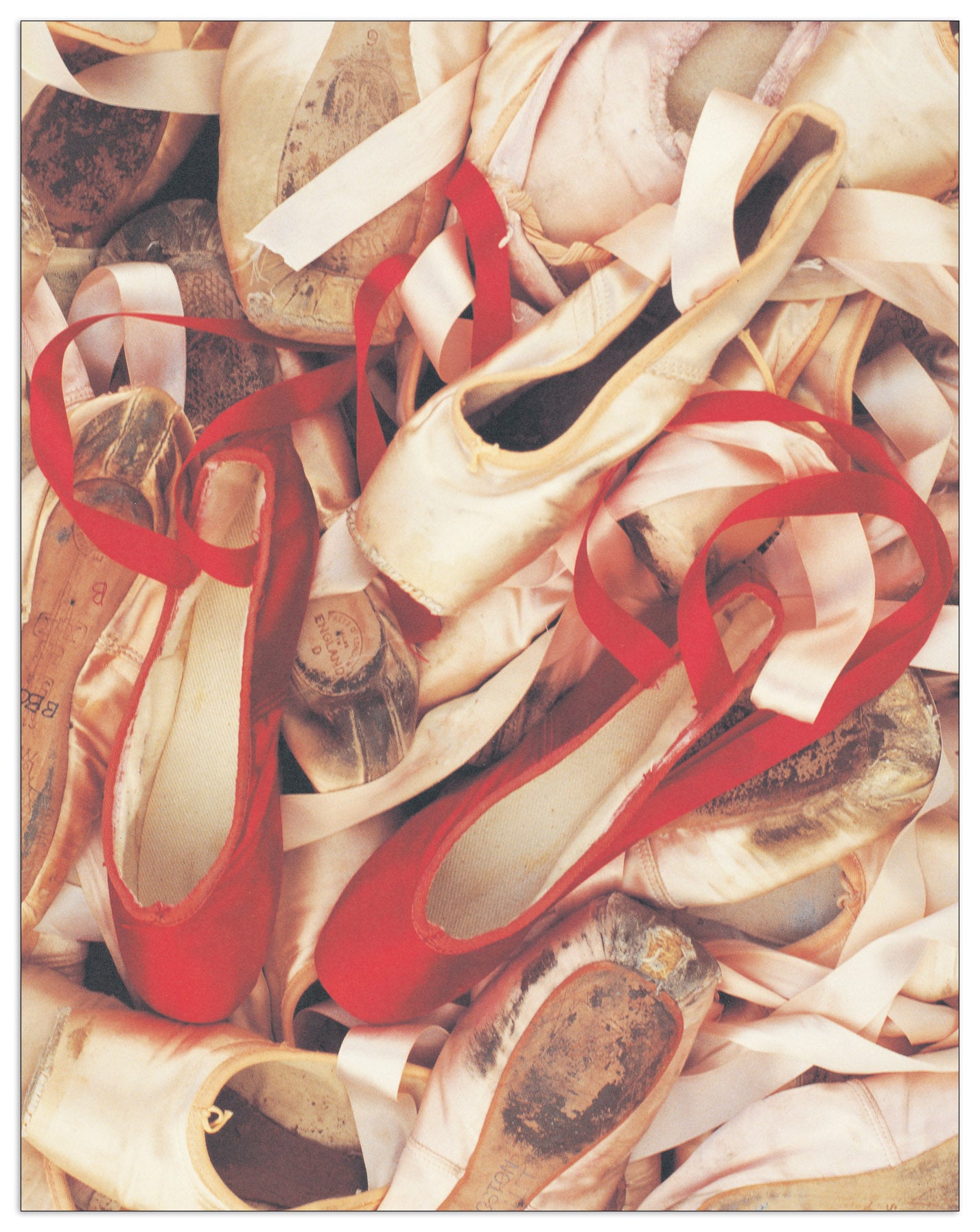 Satin Shoes cm 35x45