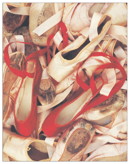 Satin Shoes cm 35x45