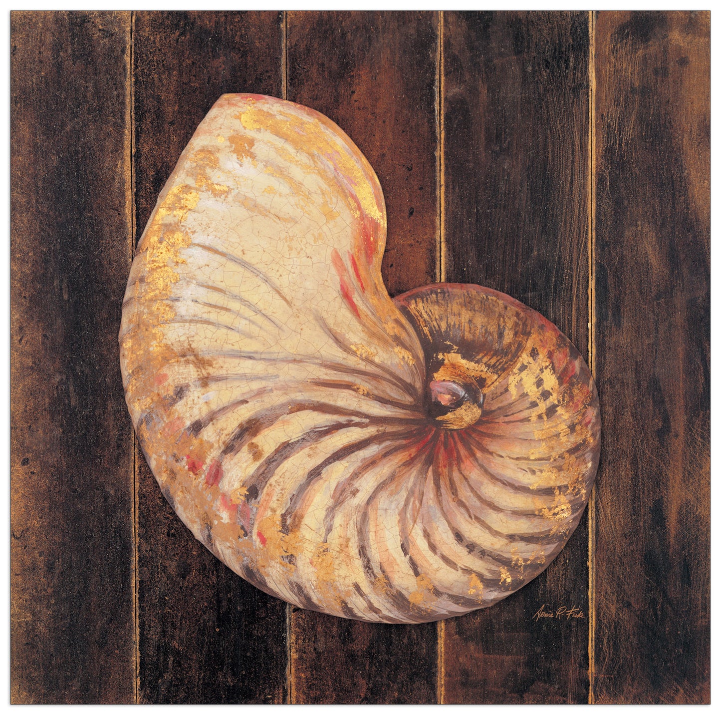 Ocean Nautilus cm 40x40