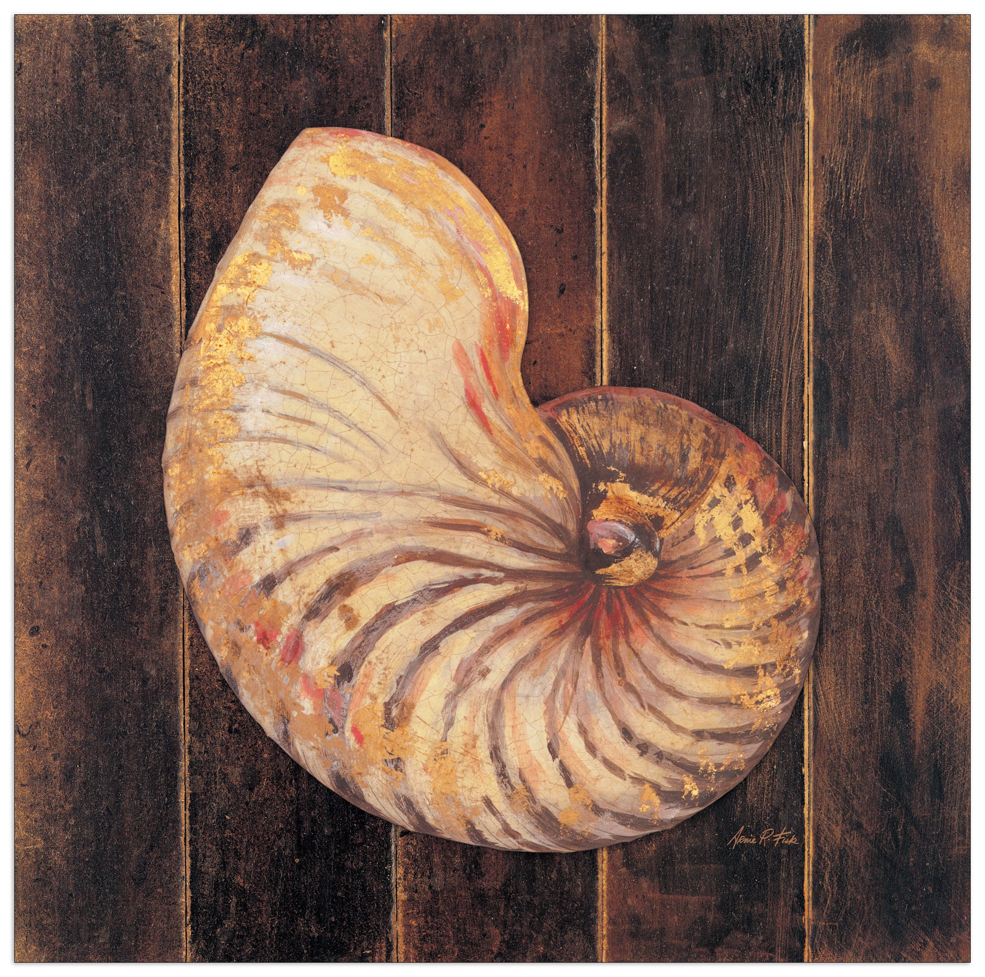 Ocean Nautilus cm 40x40