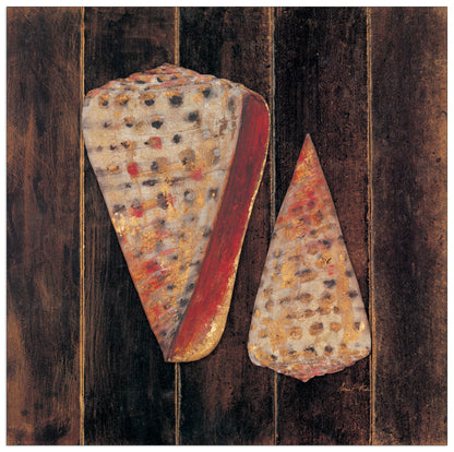 Ocean Shells cm 40x40