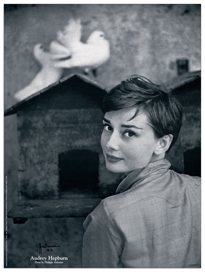 Audrey Hepburn cm 60x80