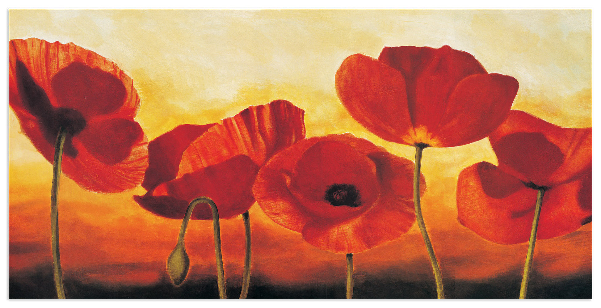 In the Sun cm 138x70