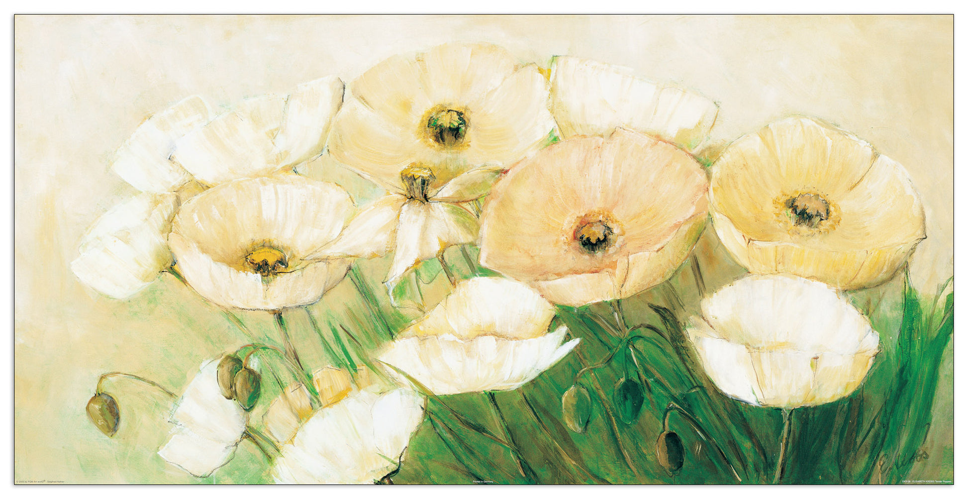Tender Poppies cm 100x50