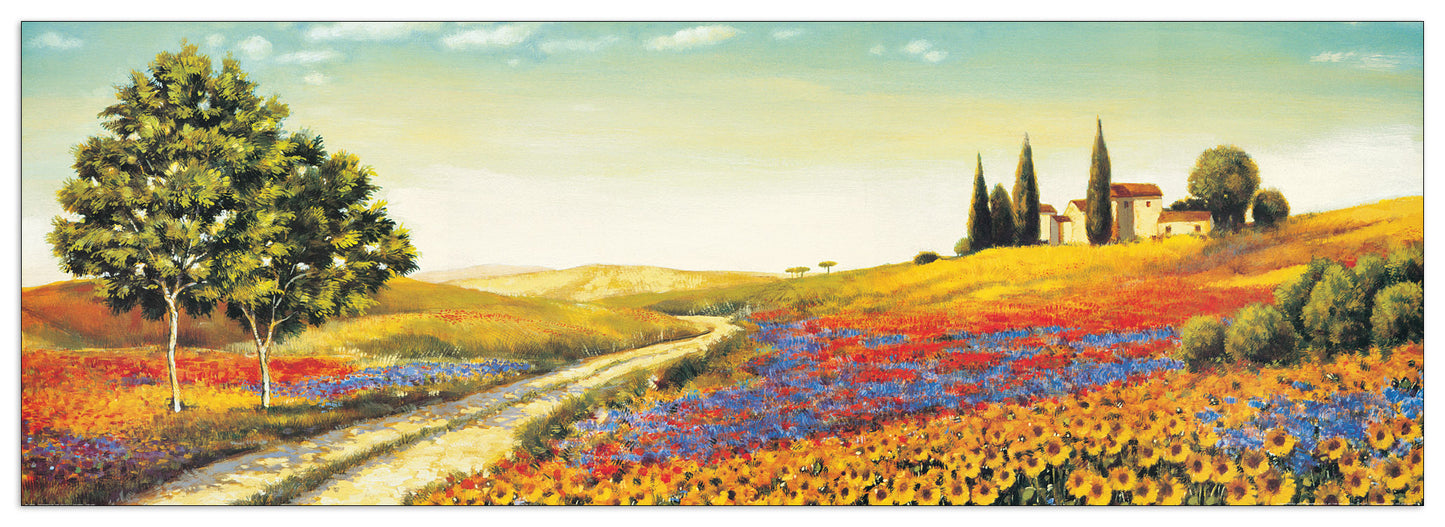 Morning In The Valley cm 136x48