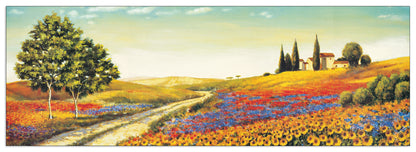 Morning In The Valley cm 136x48