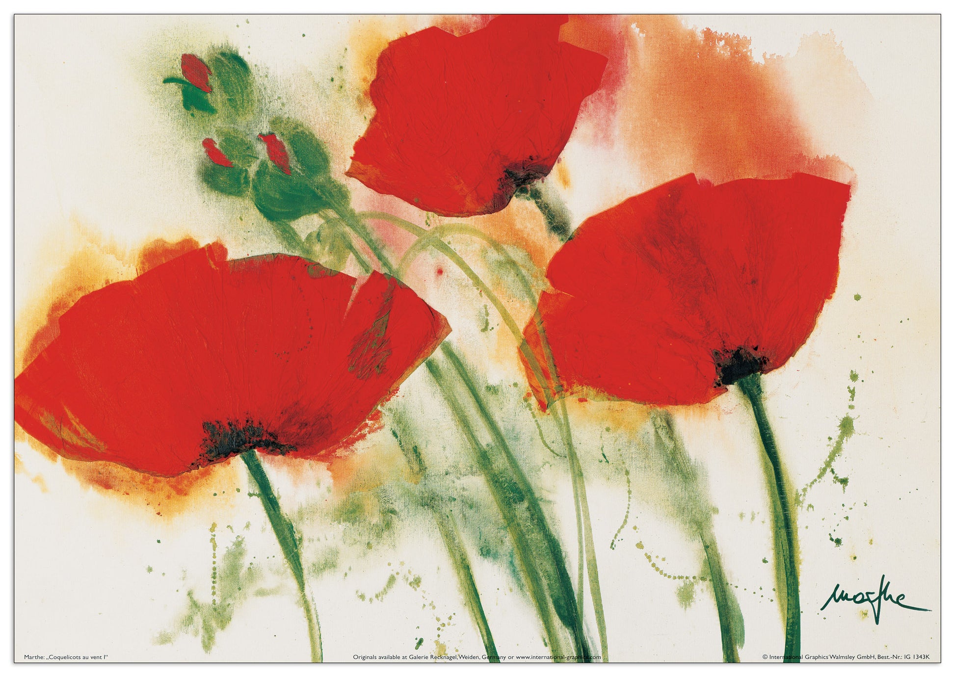 Coquelicots Au Vent I cm 100x70