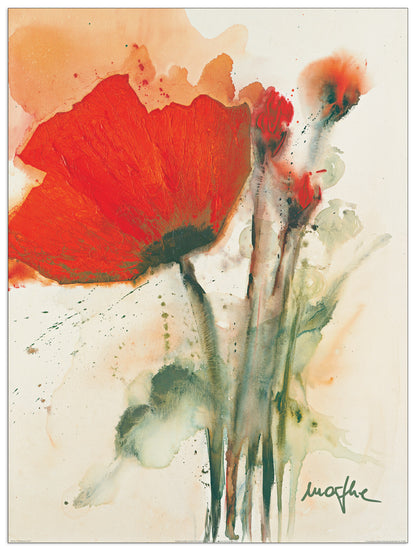 Mohnblumenstraua I cm 30x40