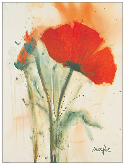 Mohnblumenstraua II cm 60x80