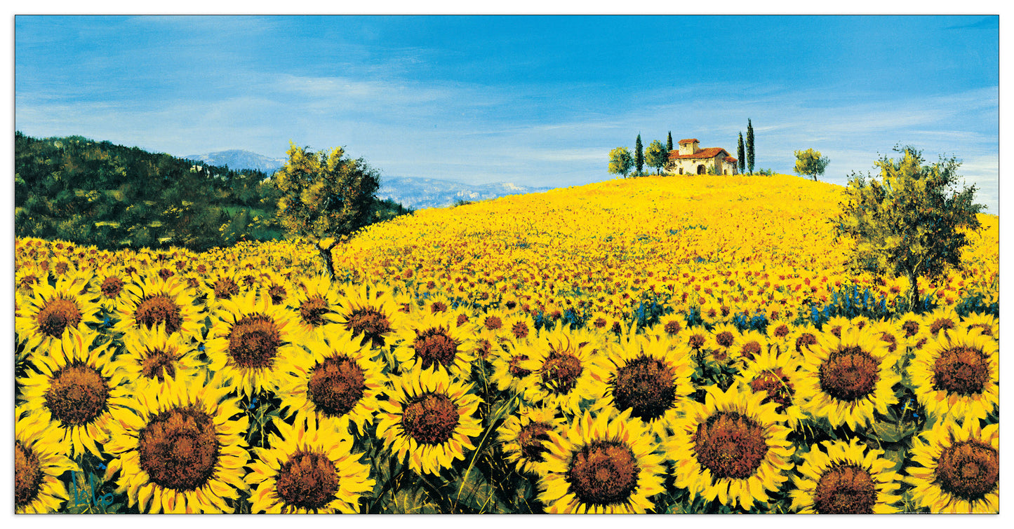 Girasoli Sul Pendio cm 138x70