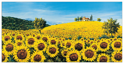 Girasoli Sul Pendio cm 138x70