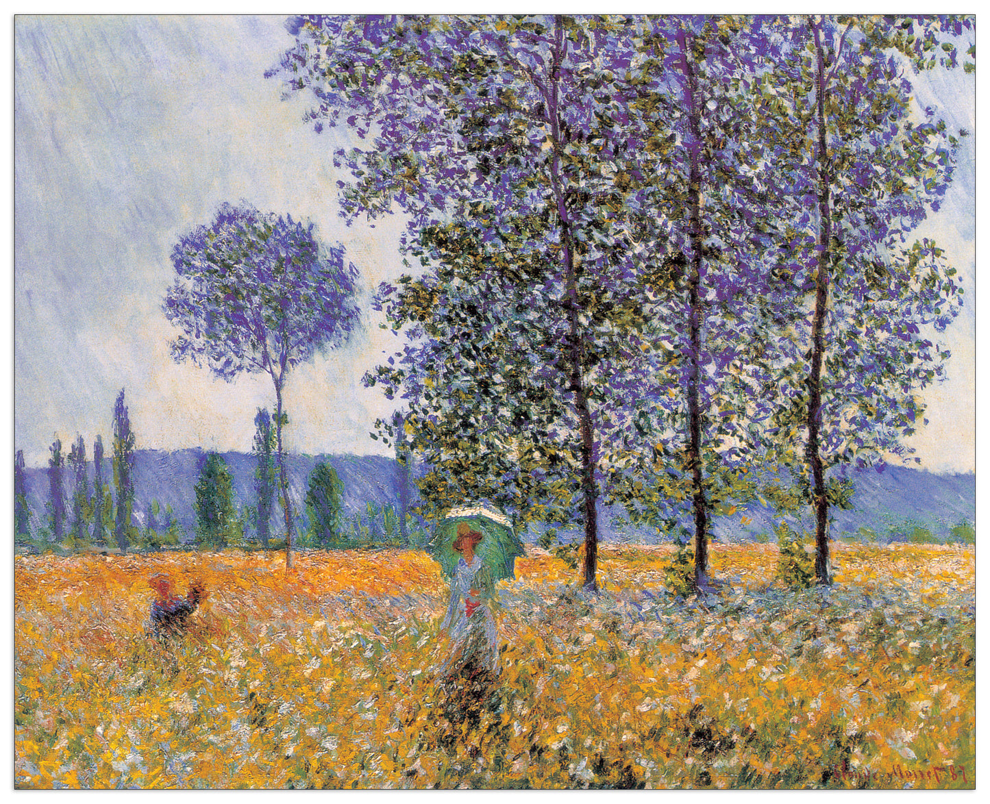 Felder In Fruehling cm 140x113