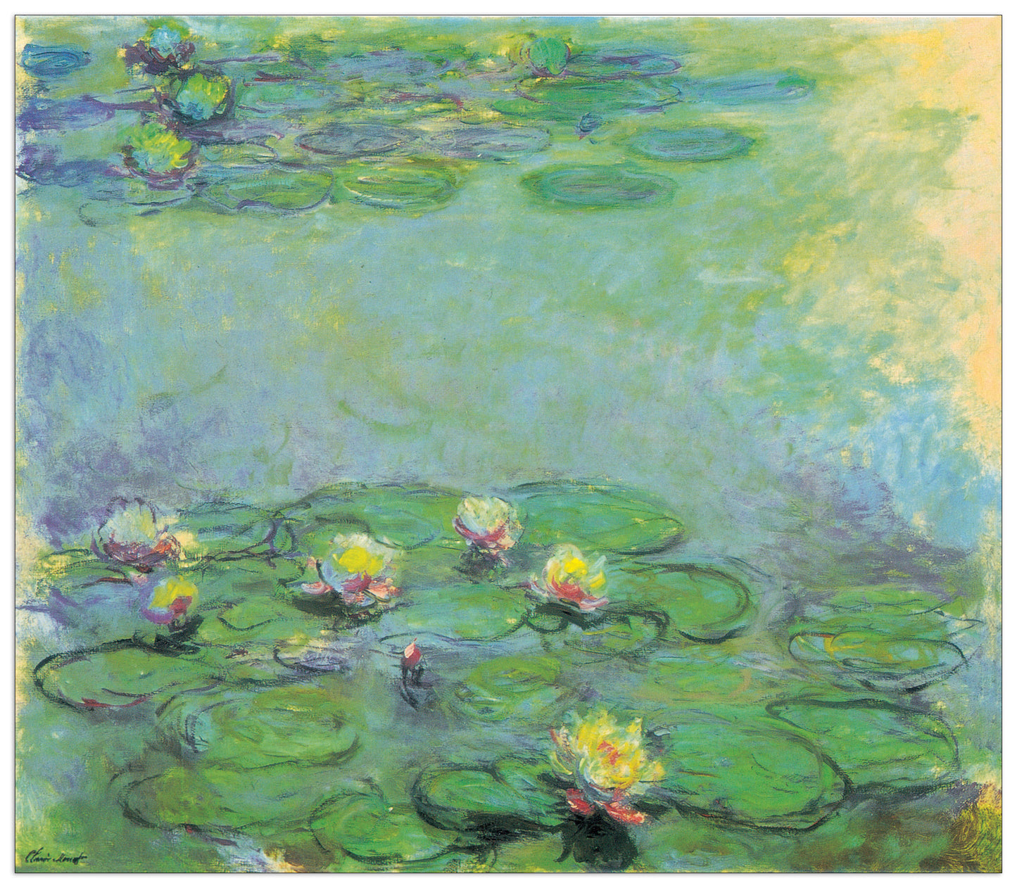 Nympheas cm 100x87