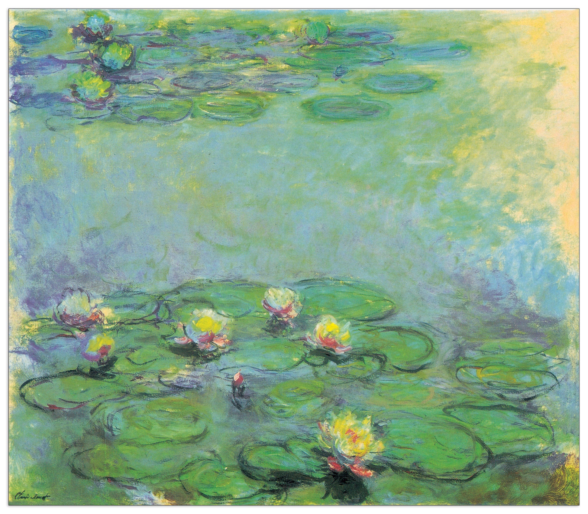 Nympheas cm 100x87