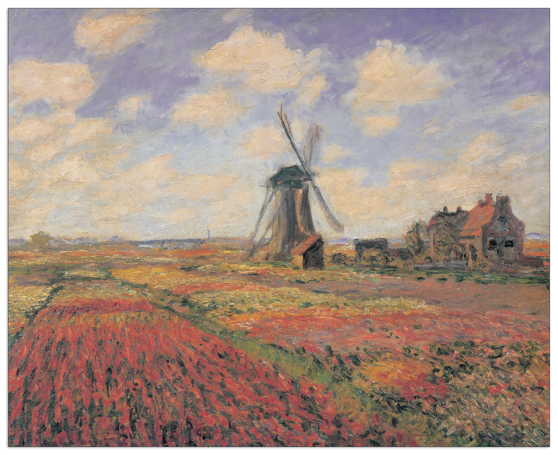 Tulip Fields With Windhill cm 100x81