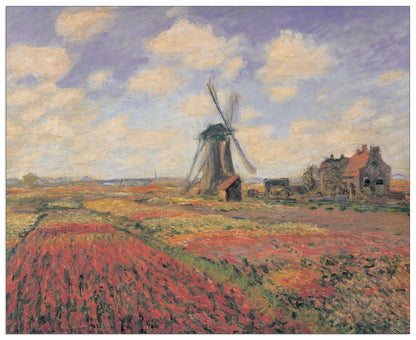 Tulip Fields With Windhill cm 100x81