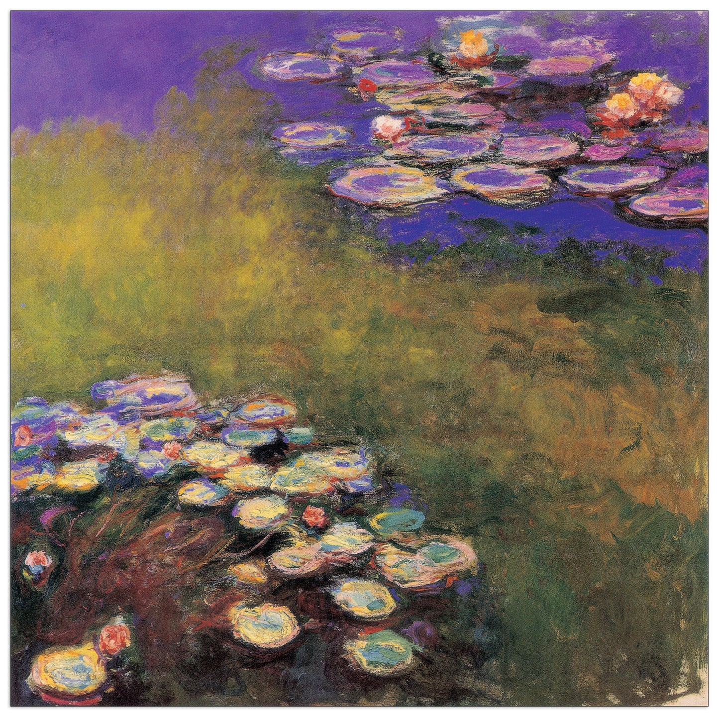 Water Lilias cm 140x140