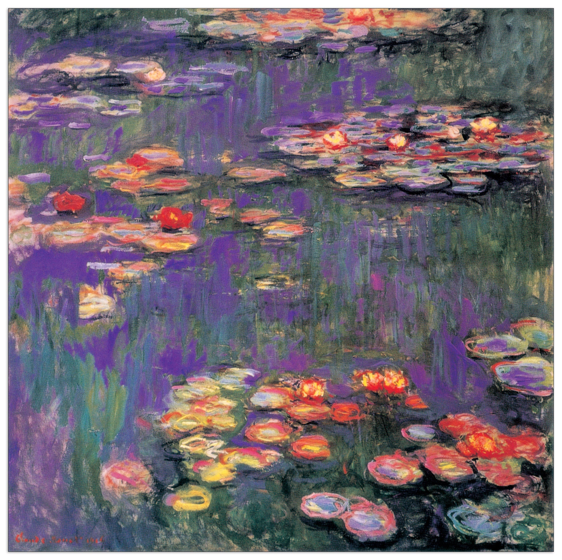 White Purple Water Lillies 9809 cm 140x140