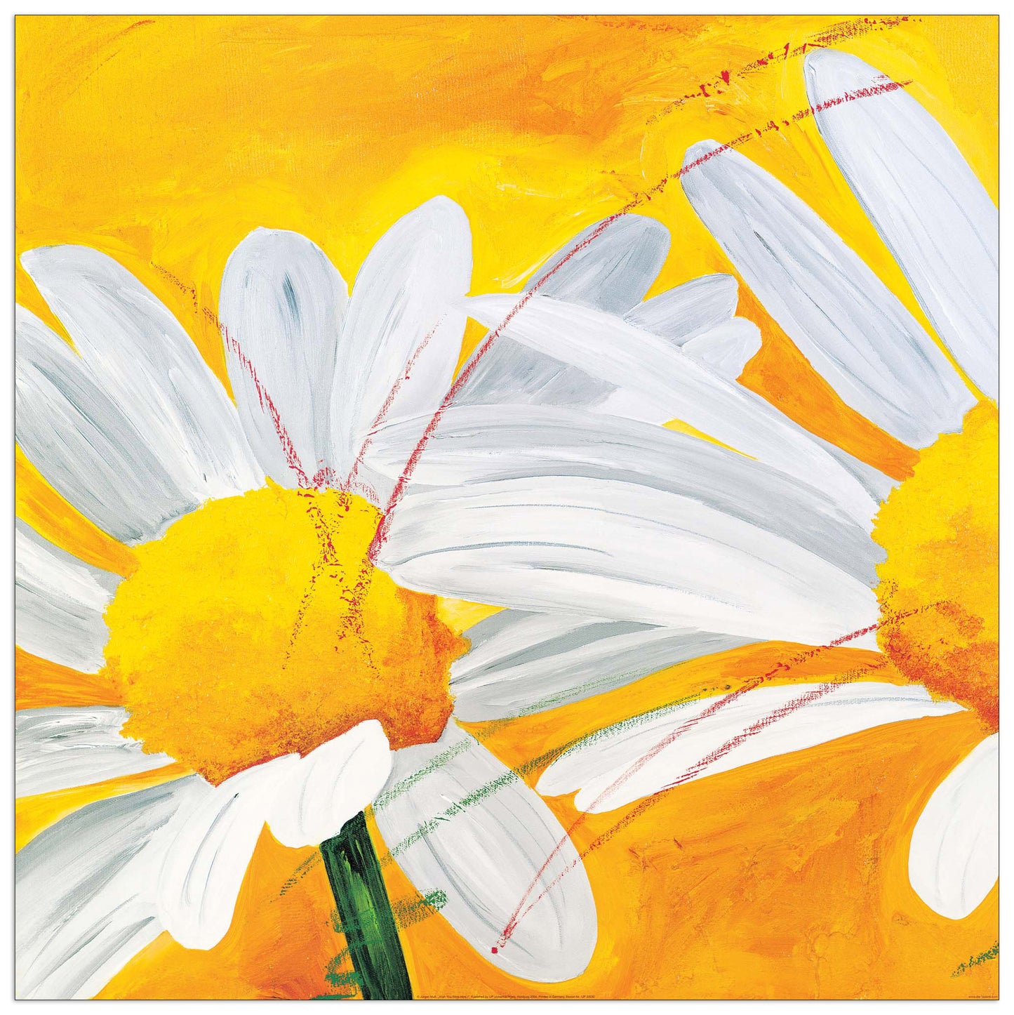Wish You Were Here I cm 70x70