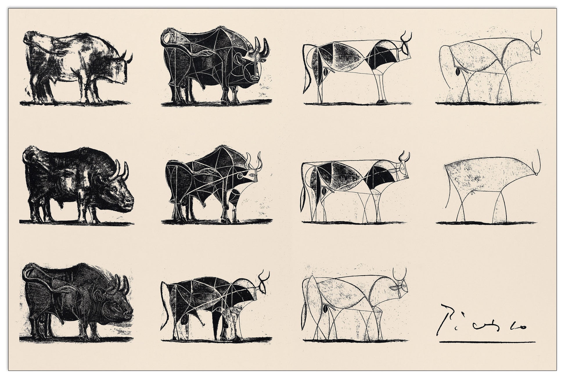 Le Taureau cm 92x61