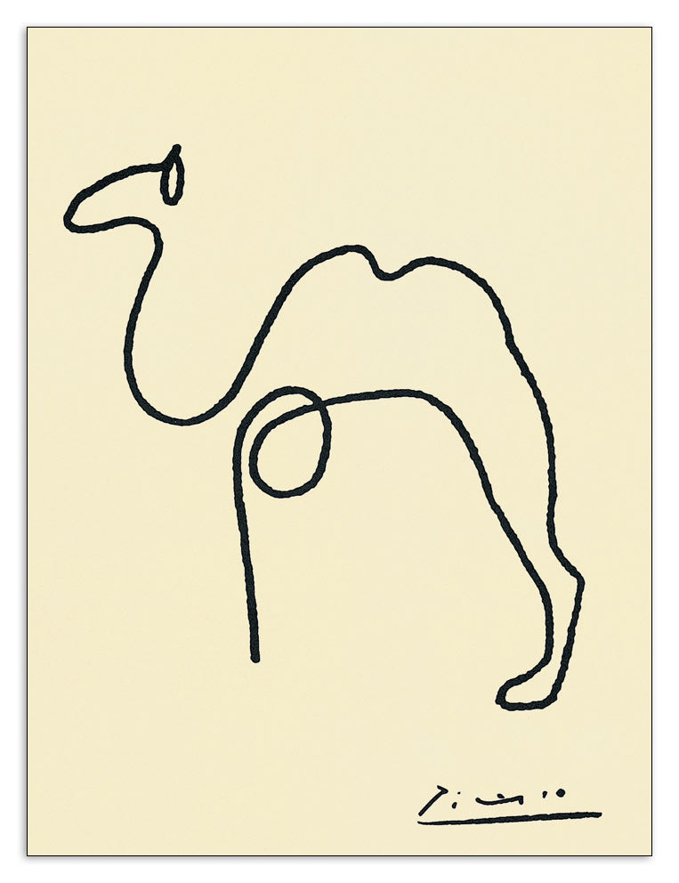 The Camel cm 24x32