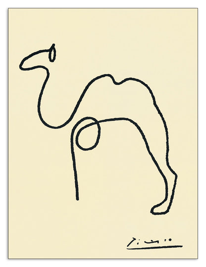 The Camel cm 24x32