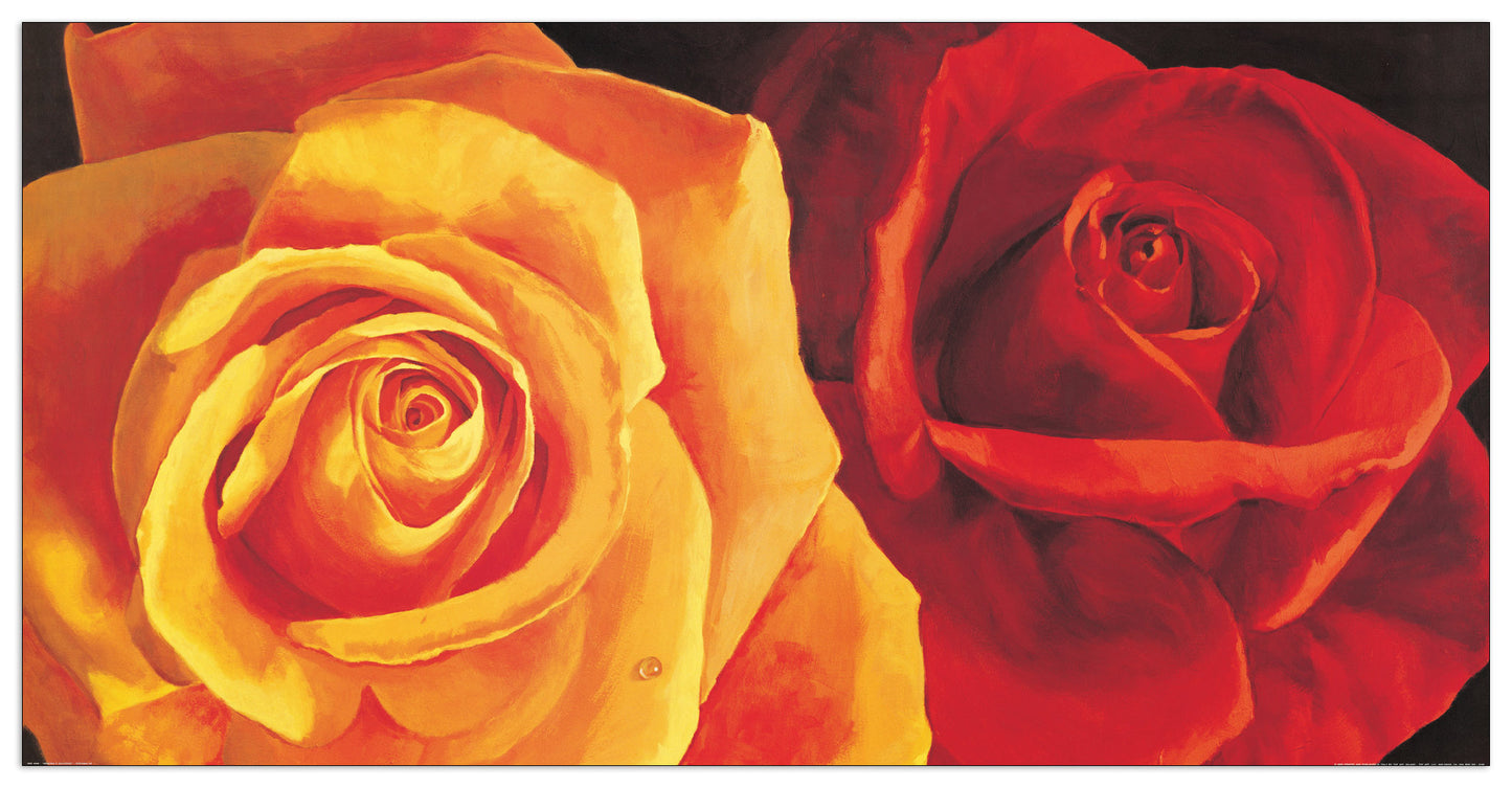 Armonia E Dolcezza cm 138x70