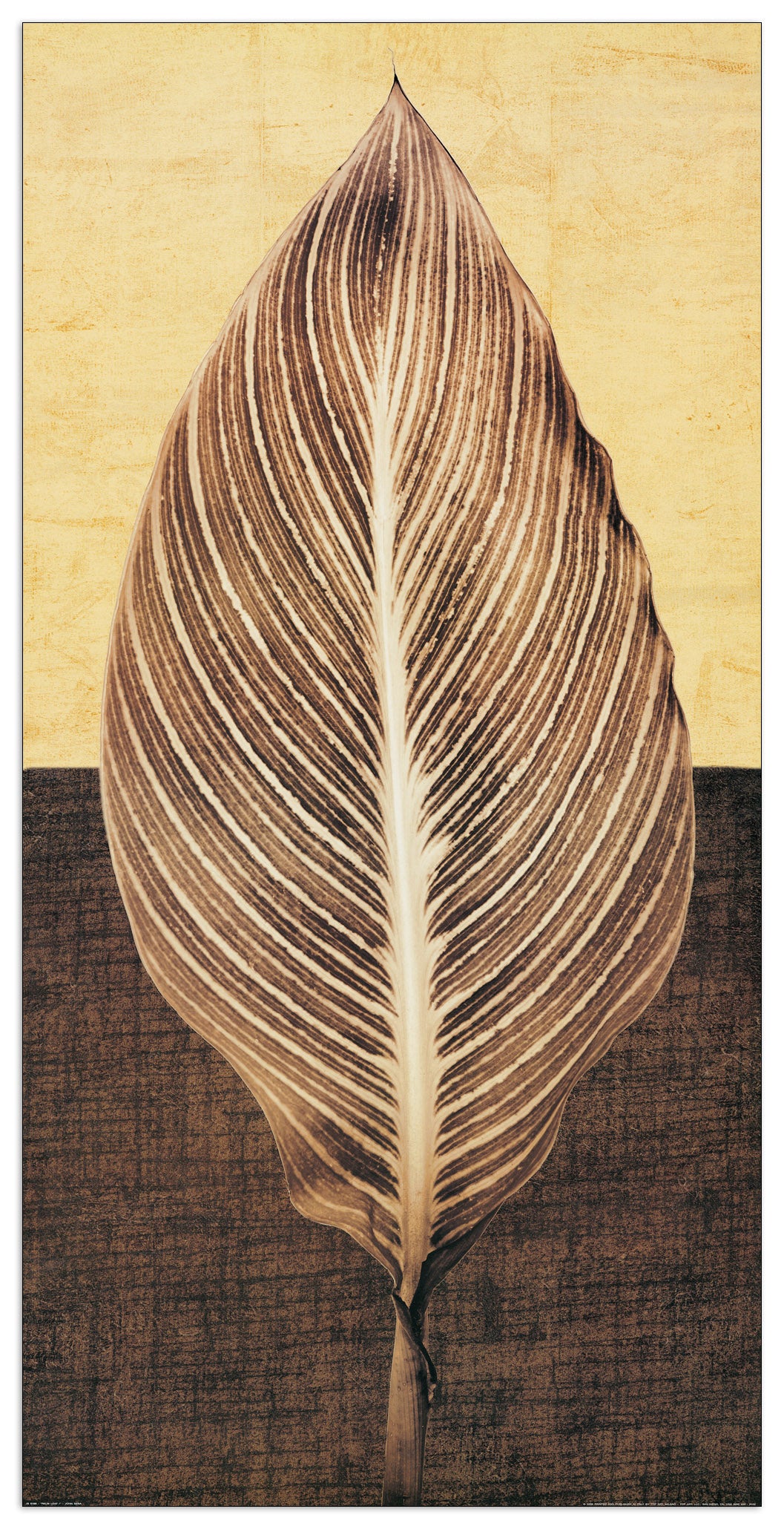 Palm Leaf I cm 60x120