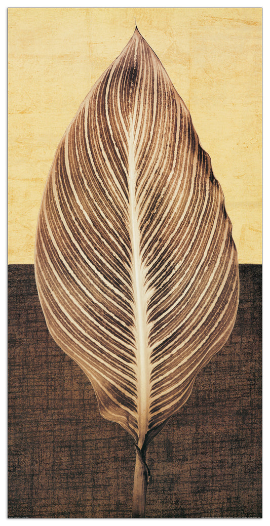 Palm Leaf I cm 60x120