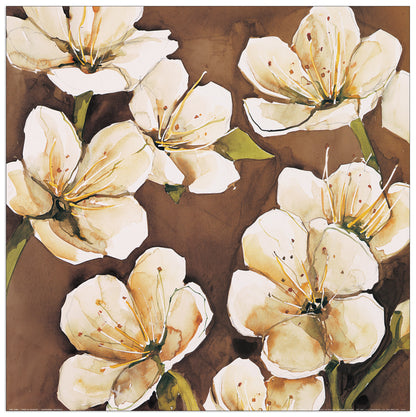 Fiori Di Ciliegio cm 50x50