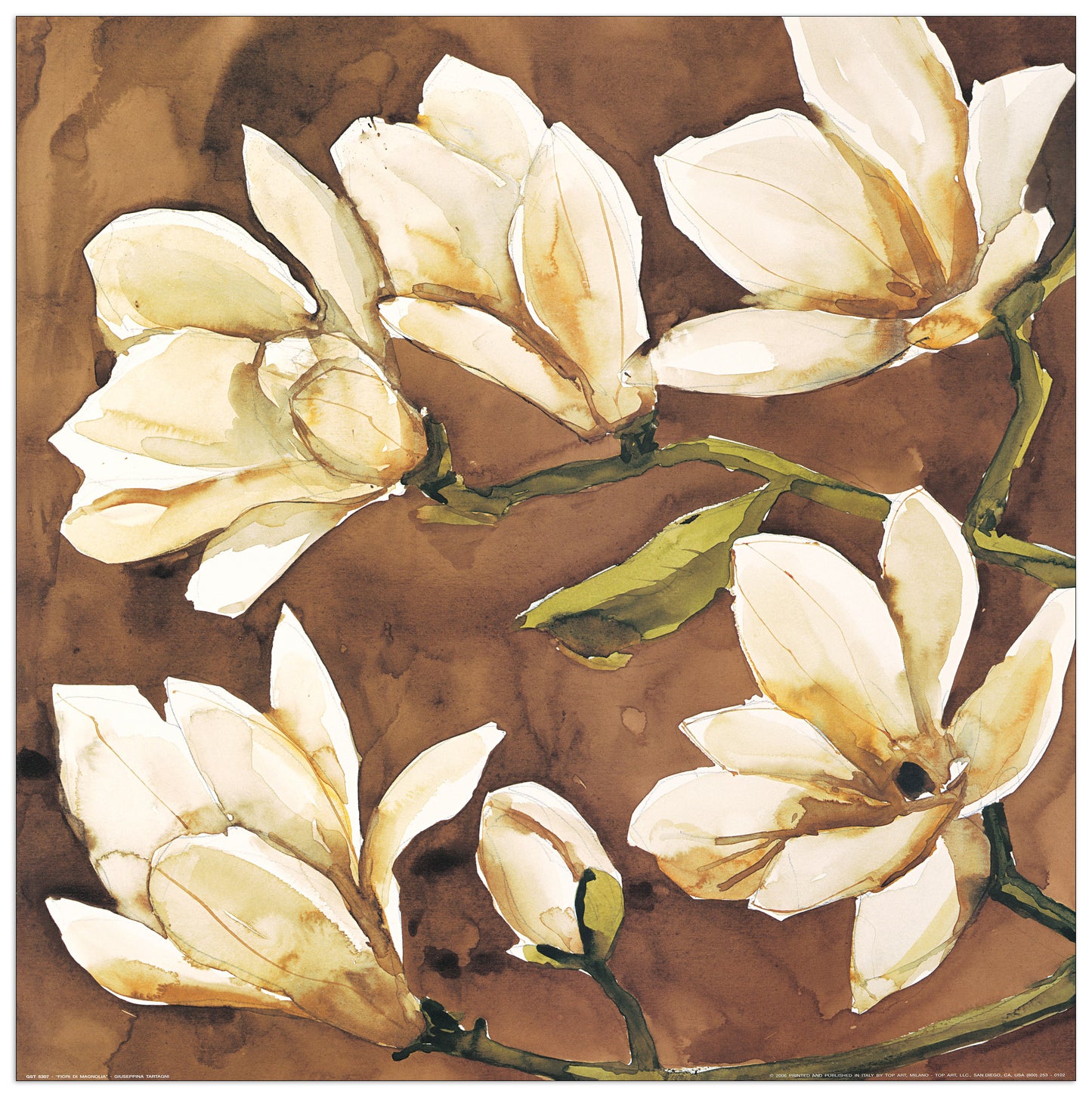 Fiori Di Magnolia cm 50x50