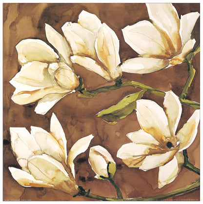 Fiori Di Magnolia cm 50x50