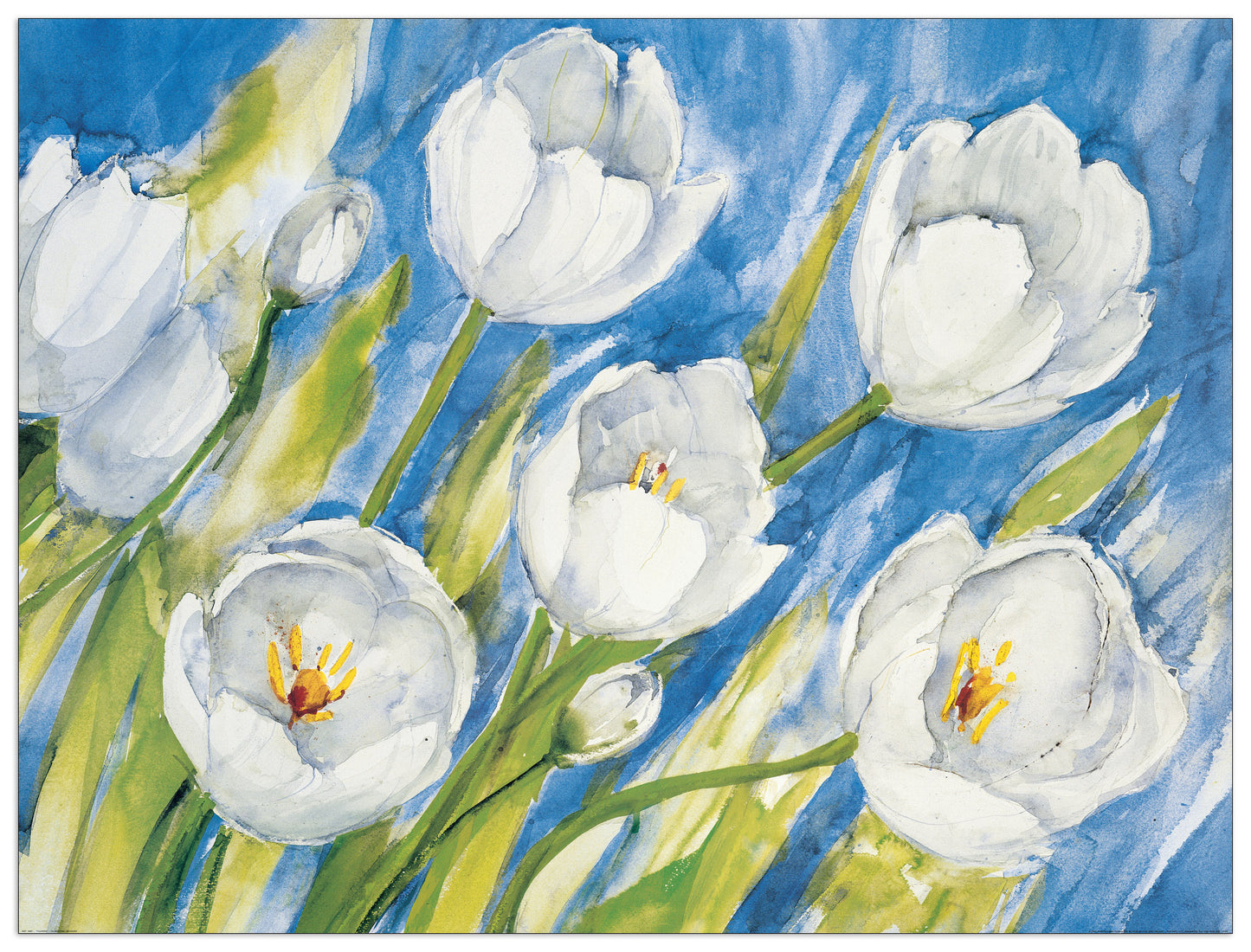 Tulipani cm 120x90