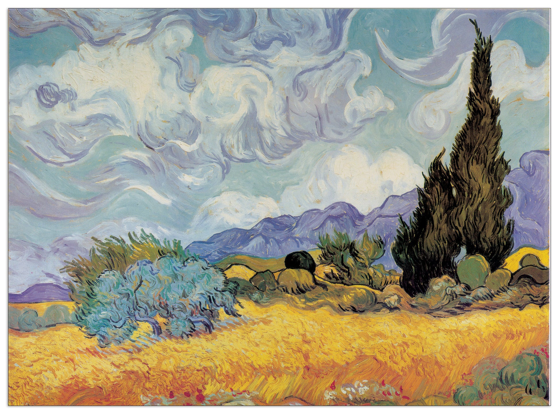 Cypress Trees cm 136x96