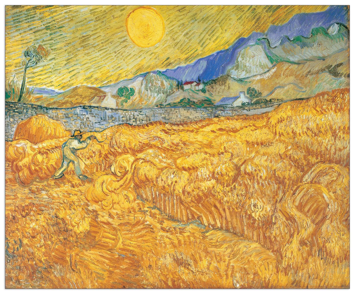 Harvesting cm 100x82