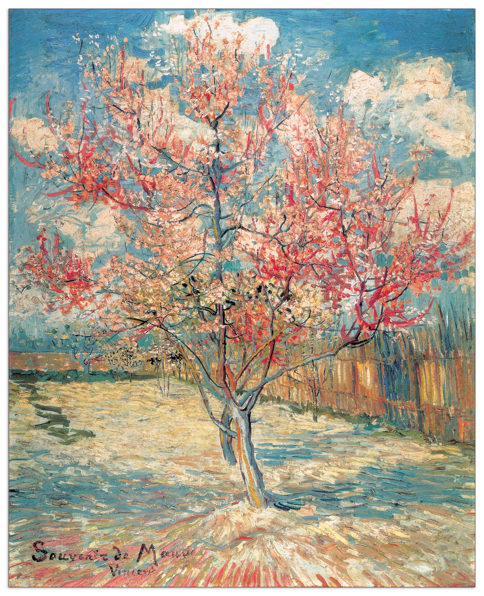 Souvenir De Mauve cm 113x140