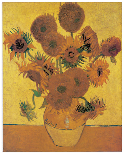 Sunflowers cm 80x100