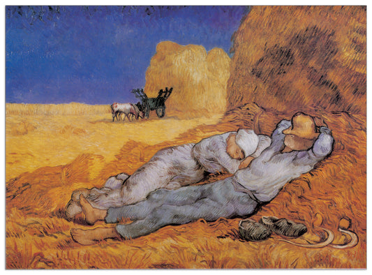 The Afternoon Siesta cm 140x102